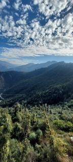 THE Grahil Hotel & Restaurant - Mussoorie - 2