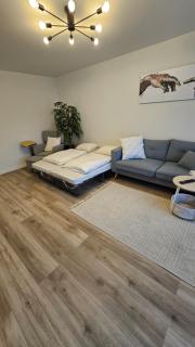 Ruhige 2-Zi-Wohnung mit Garage - Basilea - 5