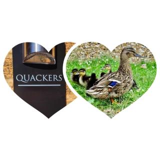 Quackers - Heacham - 0