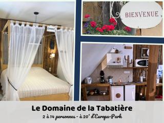 Domaine de la Tabatière - 3 gites authentiques dont 1 PMR - Rhinau - 0
