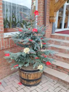 Pensiunea Popas Pop, Strambu-Baiut, Maramures - 2