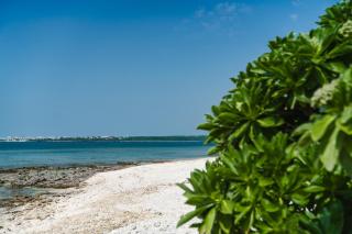 "オーシャンビュー ヴィラ南十字星 " Two-Bedroom Villa - Isola di Ishigaki - 3