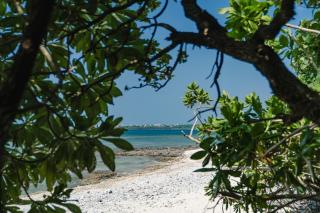 "オーシャンビュー ヴィラ南十字星 " Two-Bedroom Villa - Isola di Ishigaki - 4