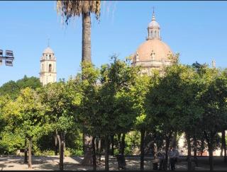 Casa Alzar - Jerez de la Frontera - 8