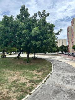 Hermoso apartamento 3 habitaciones - Cúcuta - 6