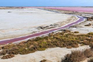 Nuits Salines Salin de Giraud - Salin-de-Giraud - 0