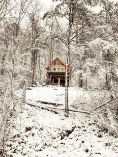Stunning Pet-Friendly Treehouse for Relaxing Glamping Retreats in North Carolina - Waynesville - 7