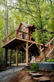 Stunning Pet-Friendly Treehouse for Relaxing Glamping Retreats in North Carolina - Waynesville - 6