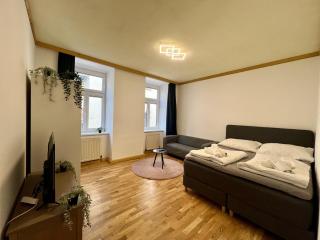 Big Space Apartment - Wenen - 2
