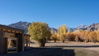 The Postcard in The Himalayan Willows, Stok, Leh - 6