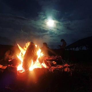 Pet-Friendly Cabin for Romantic, Off-the-Grid Glamping Escapes in Missouri - - 0