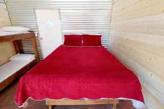 Cozy Pet Friendly Cabin in Monticello, Utah - Verdure - 5