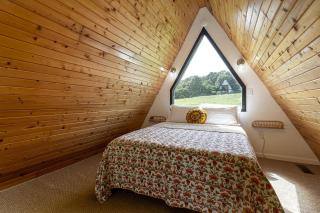 Incredible A-frame with Fabulous Panoramic Views and Hot-tub in Makanda, Illinois - Goreville - 7