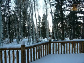 Rustic Family Cabin Nestled Among the Towering Trees in Idaho - Staley Springs - 3