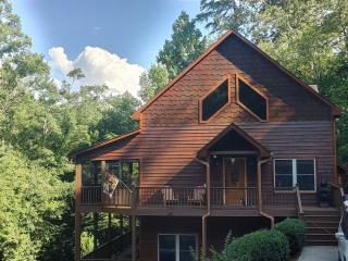 Incredible Cabin with Fireplace and Hot-tub Next to Hiking Trails in Mineral Bluff, Georgia - Mineral Bluff - 0