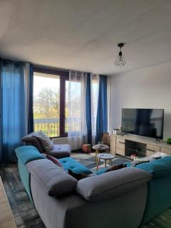 Appartement lumineux T2 près d'Annecy - Annecy - 0