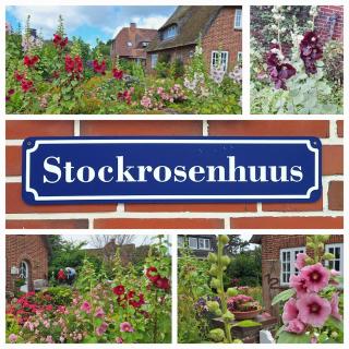 Stockrosenhuus - Westerland - 1