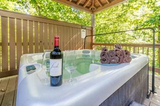Fantastic Pet Friendly Cabin with Hot-tub and Barbecue in Cleveland, Georgia - Cleveland - 0