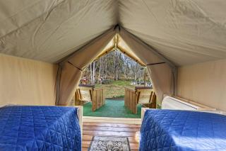 Incredible Multi-Unit Group Glamping in Safari Tents for an Amazing Outdoor Adventure with Family or Friends in Newport, Tennessee - 1