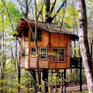 Entire Four Treehouses Resort Perfect for Groups and Outdoor Activities in Copperhill, Tennessee - 0