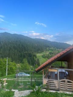Adamov Konak Apartmani - Lazići - 7