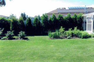 Spacious Home with large Pool and Backyard - Mississauga - 5