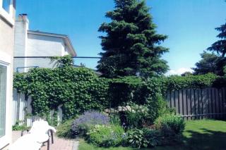 Spacious Home with large Pool and Backyard - Mississauga - 4