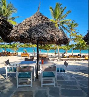 Diani Beachfront Studio with pool - Galu - 4