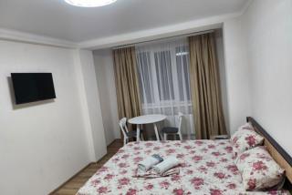 Apartments in the center of Chisinau - Chişinău - 9