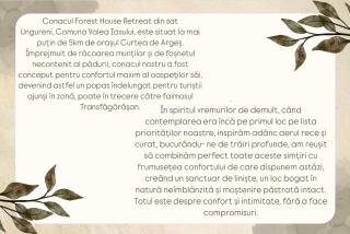 Forest House Retreat - Curtea de Argeş - 1