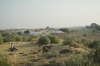 Desert Abu Safari - Jāmb - 8