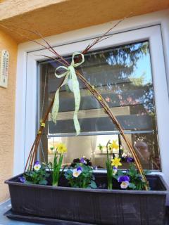 Apartman Terezka - Jílové - 2