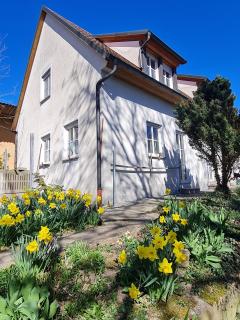 Ferienhaus Blumenstock - Steinsfeld - 0