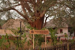 Moonrise Kingdom Permaculture Farm Stay - - 6