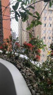 Pitangueiras, 3 suites, amplo, ventilado - Guarujá - 7