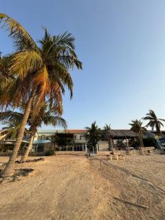 Rotana Villa - فيلا روتانا - Gedda - 0