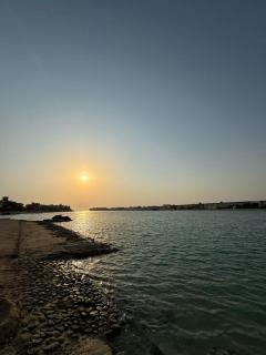 Rotana Villa - فيلا روتانا - Gedda - 9