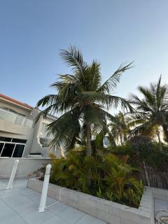 Rotana Villa - فيلا روتانا - Gedda - 7