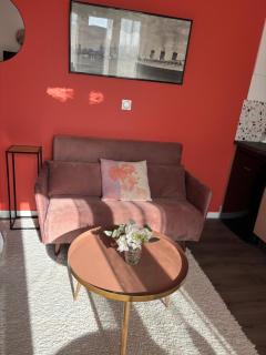 Rose Roanne centre-ville - Parking & Clim - 4