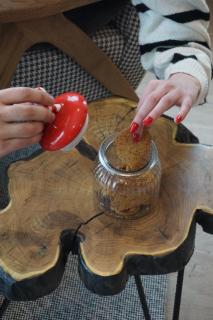 NOOK Kopaonik Luxury Apart & House - 3