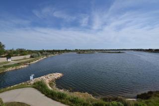 Les rives du lac - Le Grau-du-Roi - 6