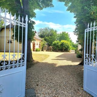 La Maison Tuffeau Bed and Breakfast - 1