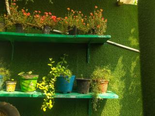 Kishan's Hostel - Mathura - 5