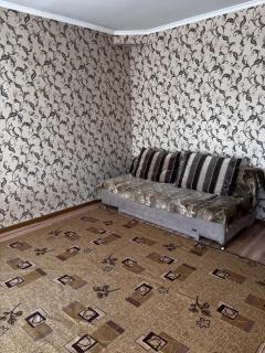 Уютные апартаменты - Karakol - 4