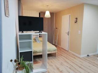 Studio Cosy Hyper centre - Fibre - Netflix - Segré - 1