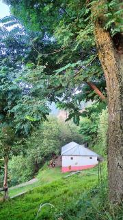Danna lodges, Nathiagali - Nari Nakka - 6