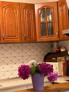 Villa Dalia - Sarajevo - 7