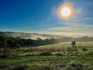 Le Causse en Quercy - Montaigu-de-Quercy - 8