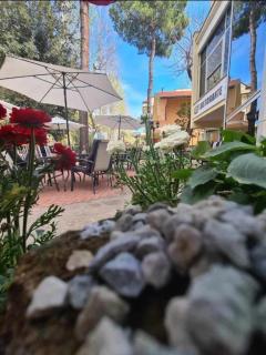 Hotel Anny - Cervia - 9