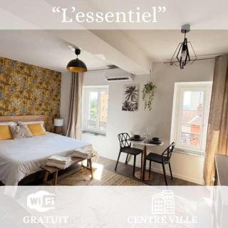 Roanne - Le studio 203 - Roanne - 8